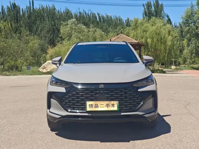 BYD Tang — Фото автомобиля 2