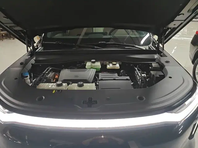GAC Trumpchi Xiangwang S7 — Фото автомобиля 19