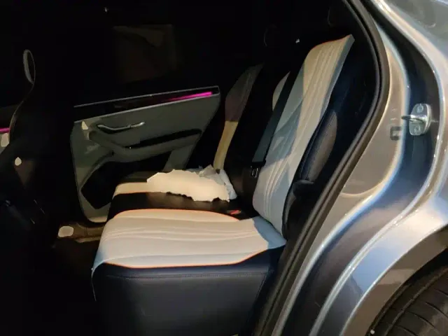 BYD Song PLUS — Фото автомобиля 18