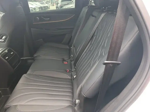 Chery Tiggo 9 — Фото автомобиля 16