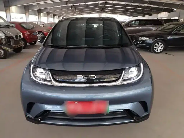 BYD Dolphin — Фото автомобиля 2