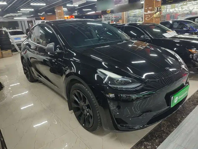 Tesla Model Y — Фото автомобиля 3