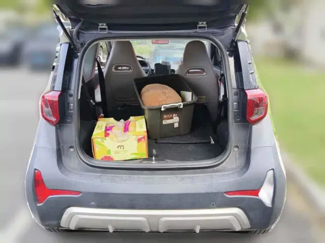QQ New Energy Little Ant 2022 Sweet Pink Edition Half Sugar Version LFP Lithium 30kW 301km — Фото автомобиля 5