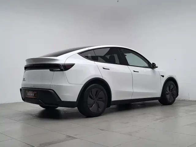 Tesla Model Y — Фото автомобиля 2