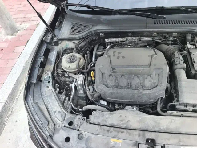 Volkswagen Passat — Фото автомобиля 20