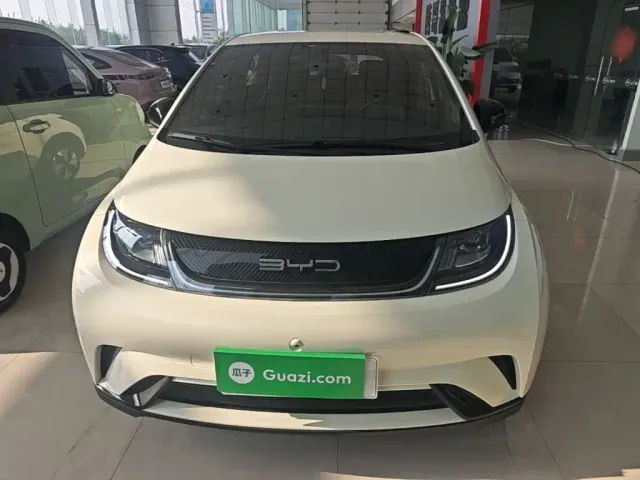 BYD Dolphin — Фото автомобиля 2