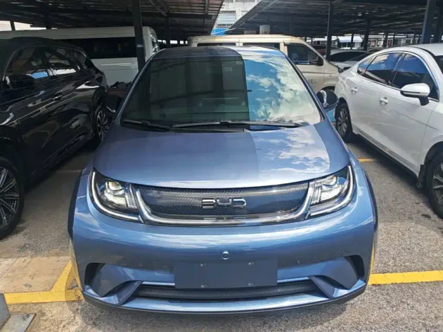 BYD Dolphin — Фото автомобиля 2