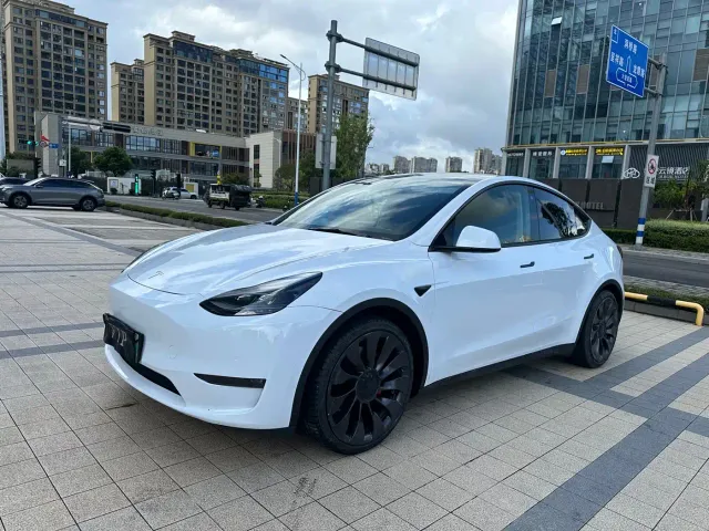 Tesla Model Y — Фото автомобиля 3