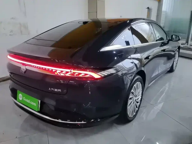 Buick Electra L7 — Фото автомобиля 6