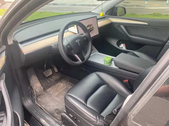 Tesla Model Y — Фото автомобиля 4