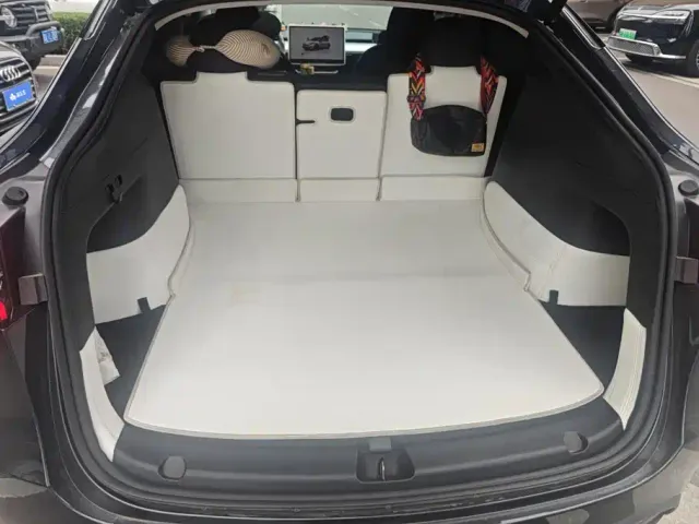 Tesla Model Y — Фото автомобиля 4