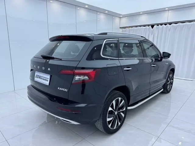 Skoda Karoq — Фото автомобиля 4