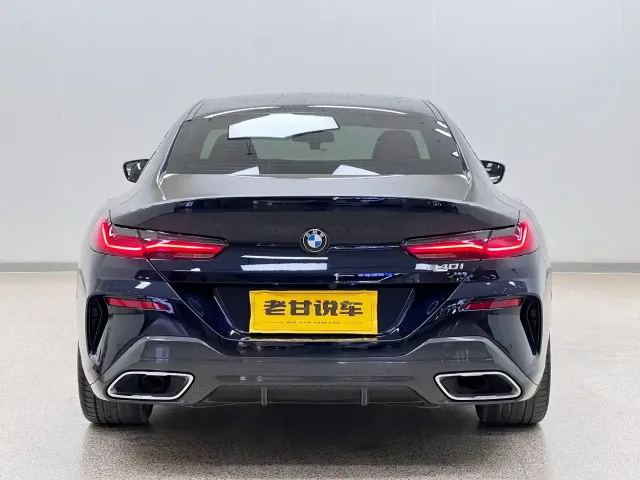 BMW 8 Series — Фото автомобиля 7