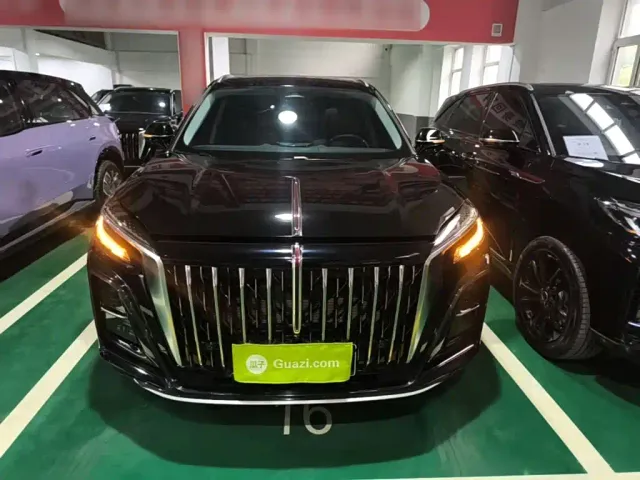 Hongqi Hongqi HS3 PHEV 2025 125km Jingwei PLUS 2 Million Commemorative Edition — Фото автомобиля 2