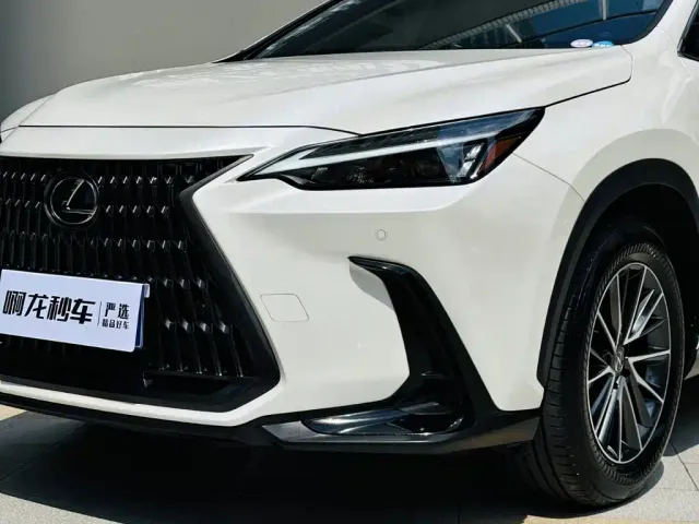 Lexus NX — Фото автомобиля 18