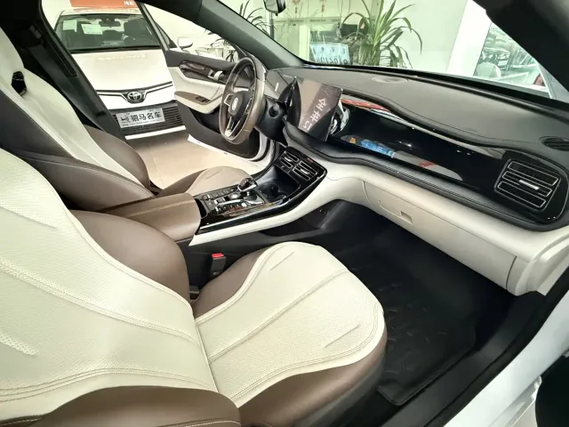 BYD Qin PLUS — Фото автомобиля 8