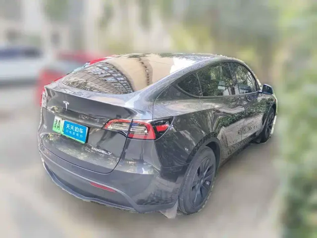Tesla Model Y — Фото автомобиля 5