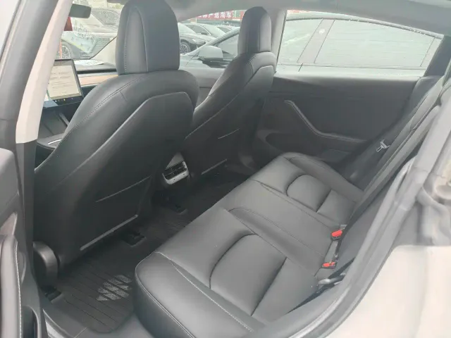 Tesla Model 3 2021 Standard Range Rear-Wheel Drive Upgrade — Фото автомобиля 5