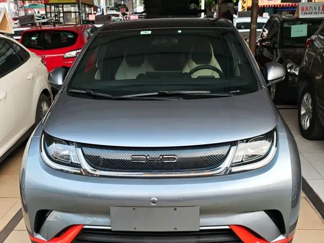 BYD Dolphin — Фото автомобиля 2