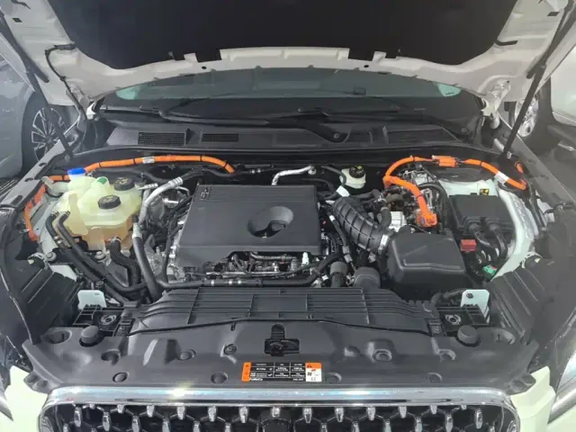 Lincoln Adventurer NEV — Фото автомобиля 19