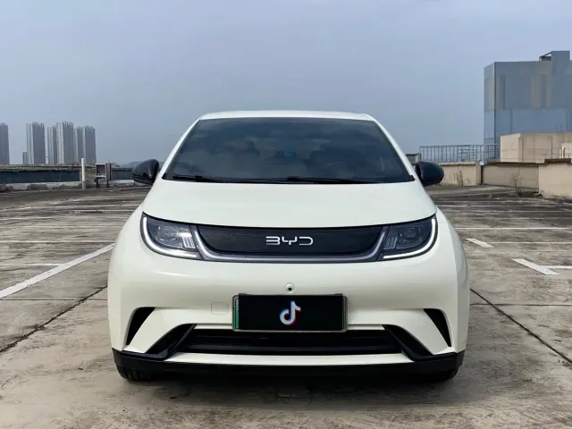 BYD Dolphin — Фото автомобиля 3
