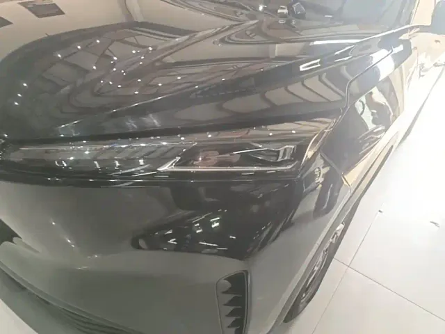 Dongfeng SKY EV01 — Фото автомобиля 23