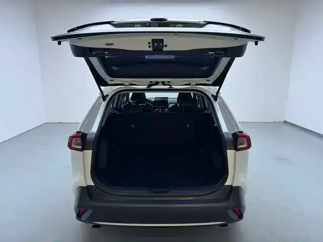 Toyota Wildlander — Фото автомобиля 13