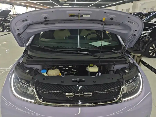 BYD Dolphin — Фото автомобиля 19