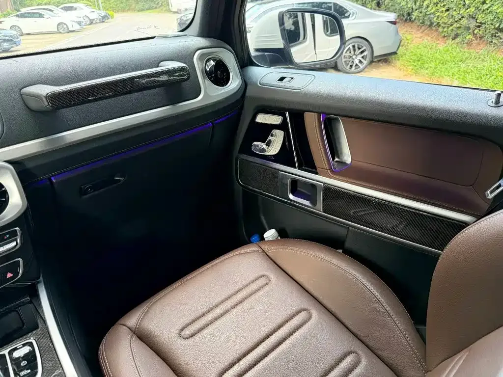 Mercedes-Benz Mercedes-Benz G-Class 2020 G 500 — Фото автомобиля 16
