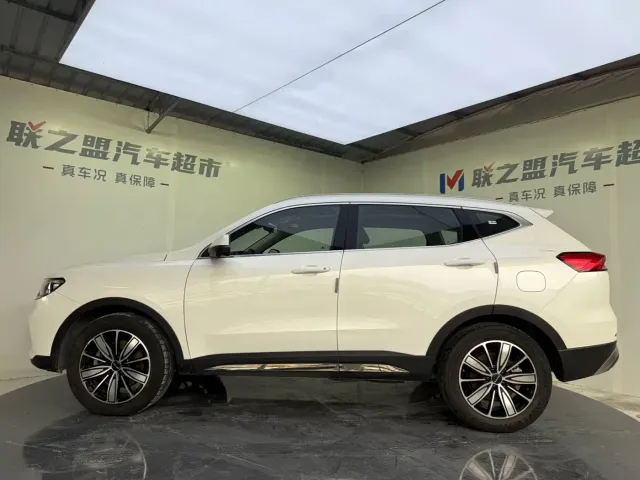 Haval H6 — Фото автомобиля 9