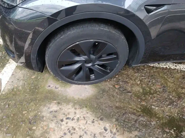 Tesla Model Y — Фото автомобиля 22