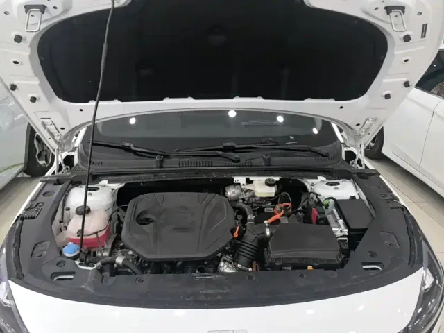 Geely Galaxy L6 — Фото автомобиля 19