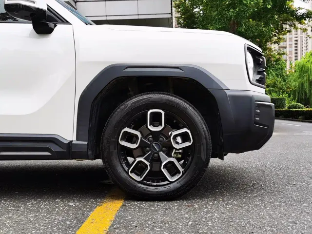 Haval Cool Dog — Фото автомобиля 9