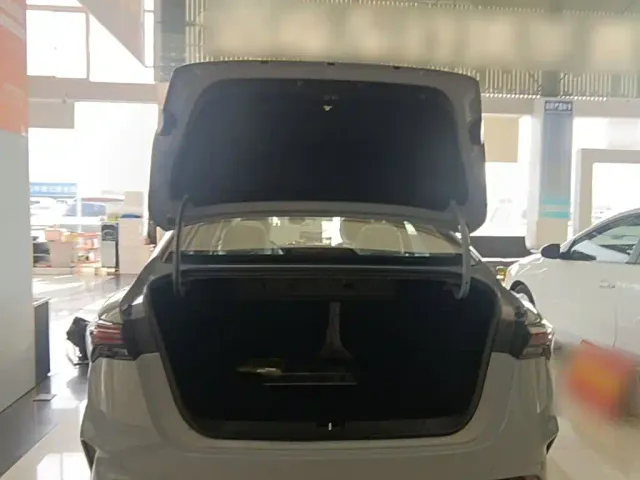 Geely Binrui — Фото автомобиля 18