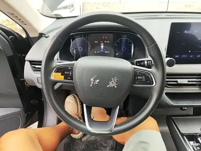 Hongqi Hongqi E-QM5 2021 Charging Flag Premium Edition — Фото автомобиля 10