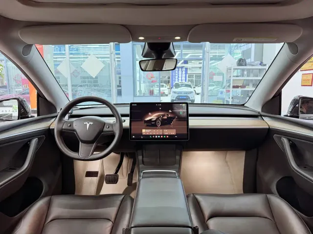 Tesla Model Y — Фото автомобиля 10