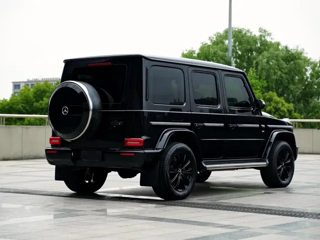 Mercedes-Benz G-Class — Фото автомобиля 15