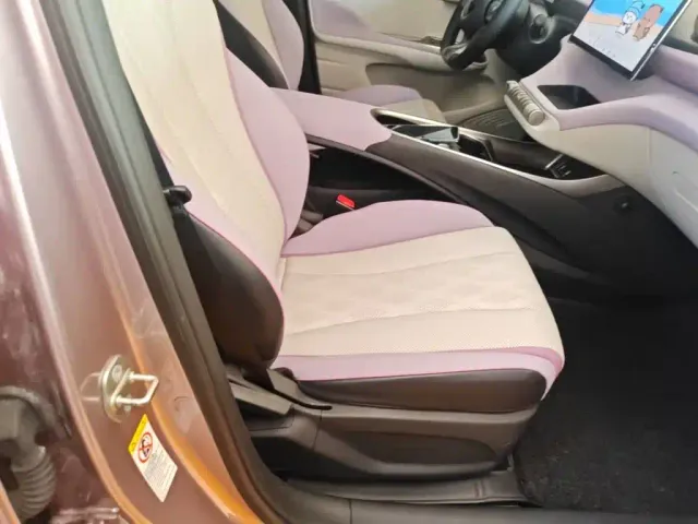 BYD Dolphin — Фото автомобиля 19