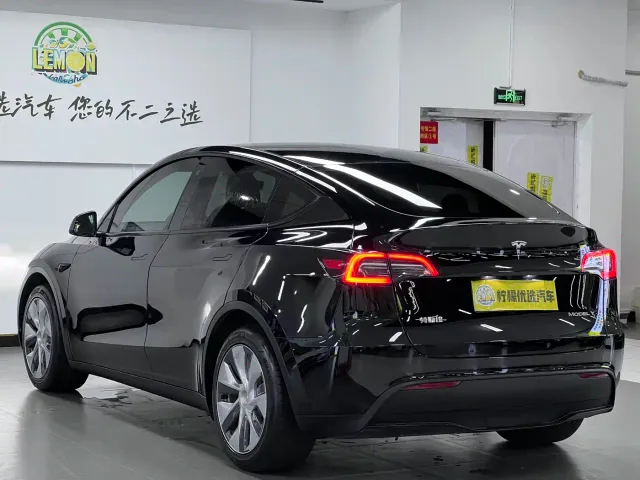 Tesla Model Y — Фото автомобиля 7