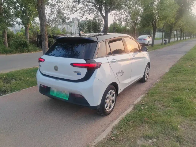 Electric House YOUNG Guang Xiaoxin — Фото автомобиля 5