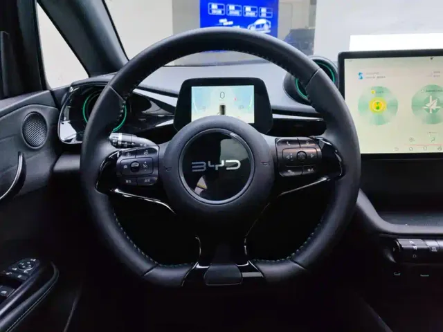 BYD Dolphin — Фото автомобиля 15