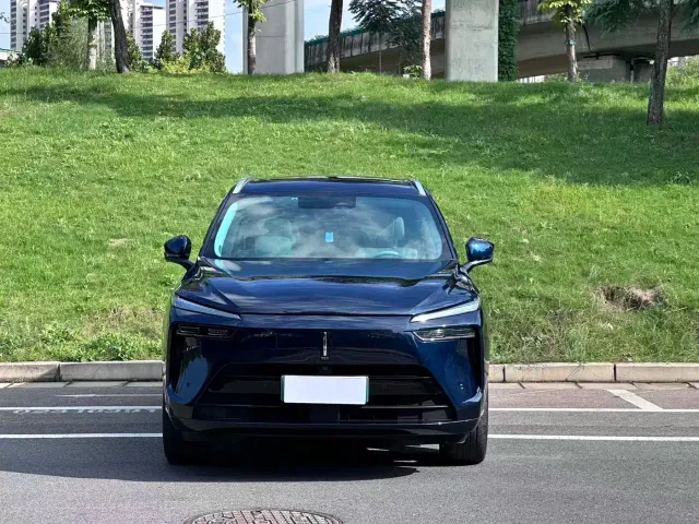 Wey Lanshan — Фото автомобиля 2
