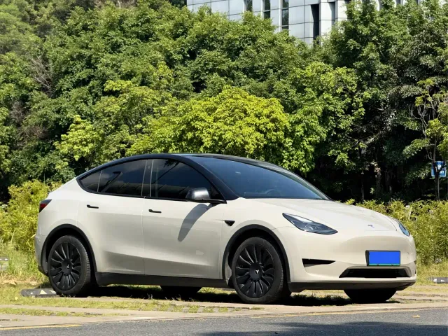 Tesla Model Y — Фото автомобиля 3
