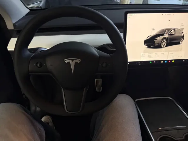 Tesla Model Y — Фото автомобиля 5