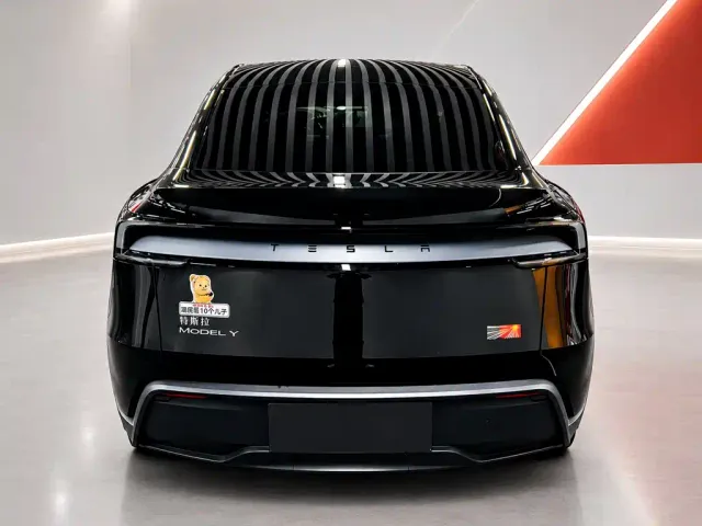 Tesla Model Y — Фото автомобиля 5