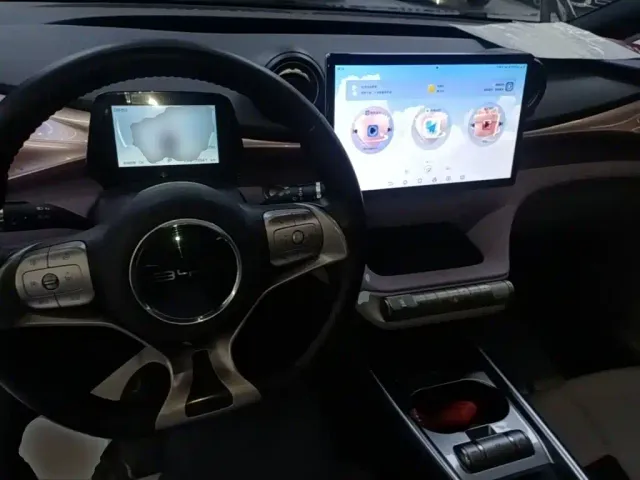 BYD Dolphin — Фото автомобиля 9