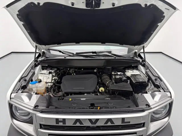Haval Big Dog — Фото автомобиля 19