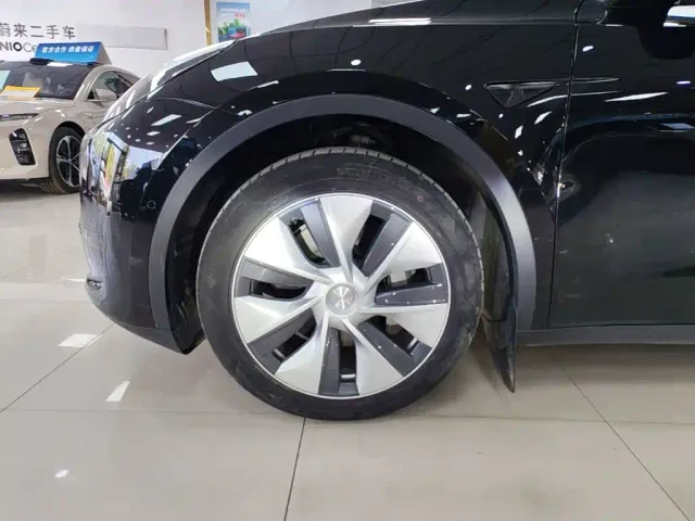 Tesla Model Y — Фото автомобиля 22