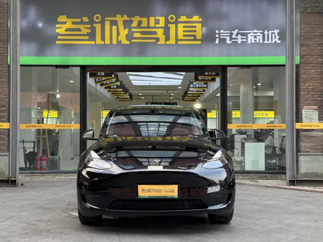 Tesla Model Y — Фото автомобиля 2