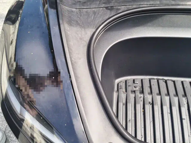 Tesla Model 3 — Фото автомобиля 19